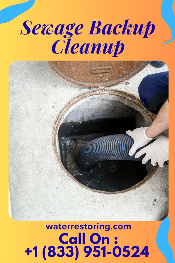 Sewage Backup Cleanup in Centerville, CA