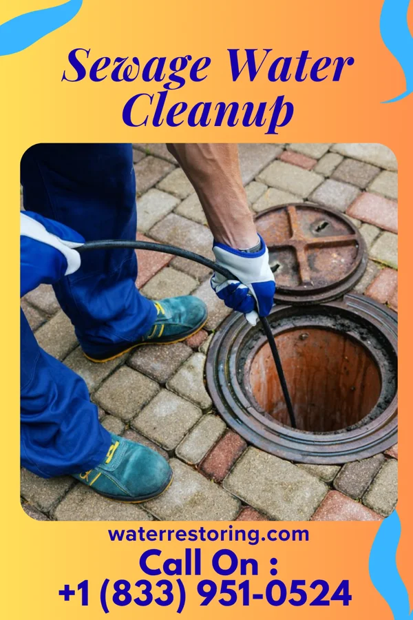 Sewage Water Cleanup in Centerville, CA